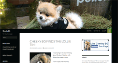 Desktop Screenshot of cheekybg.com